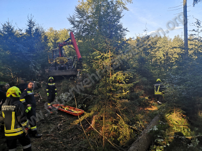 Forstunfall im Bereich Lauterbach