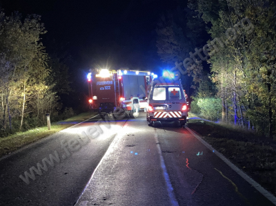 Verkehrsunfall mit eingeklemmter Person - Auto gegen Baum